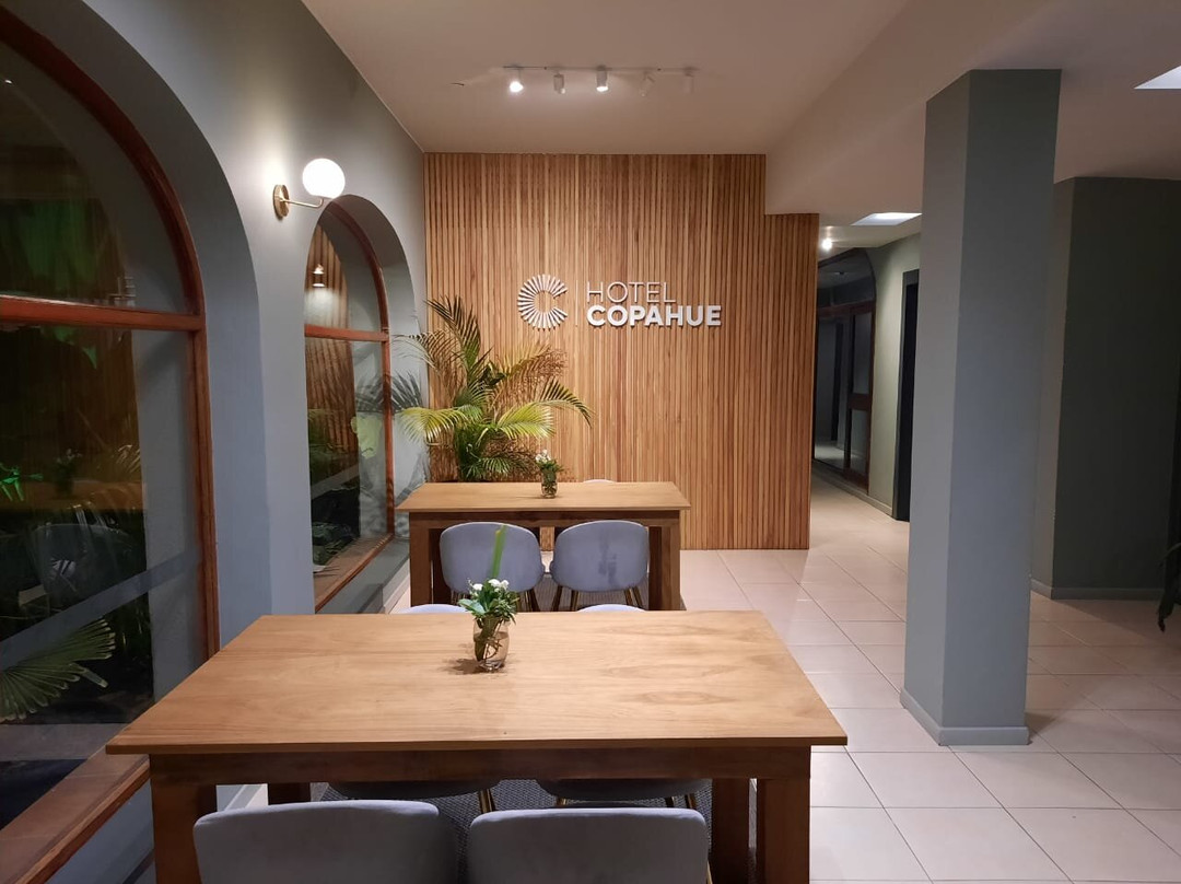 Hotel Copahue主图