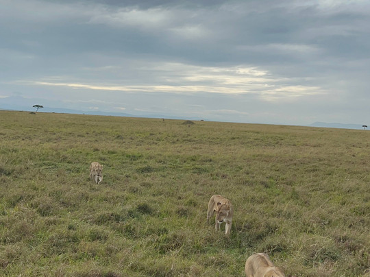 Aventura En Africa-纳罗克必去景点