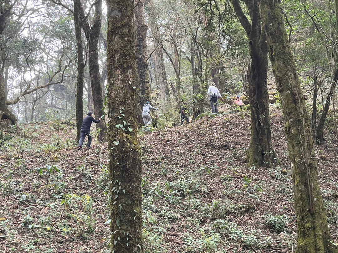 Battle of Imphal Tours-因帕尔必去景点
