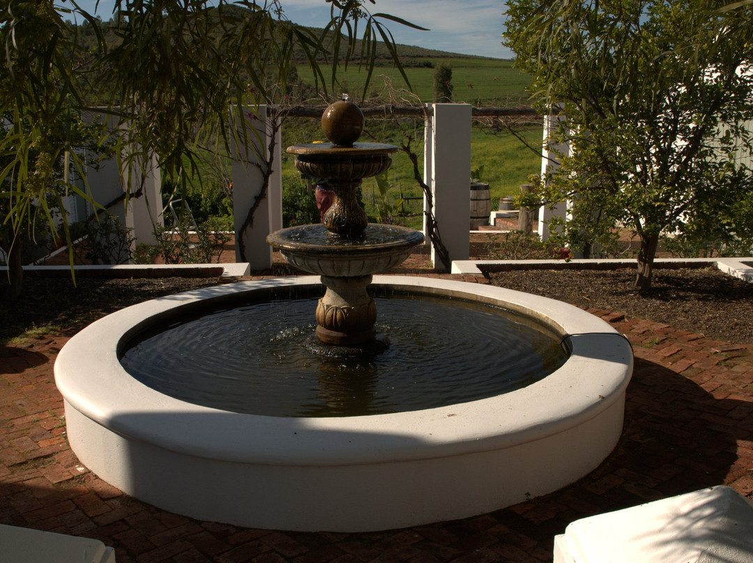 Olijvenhof Olive Estate-蒙提古必去景点