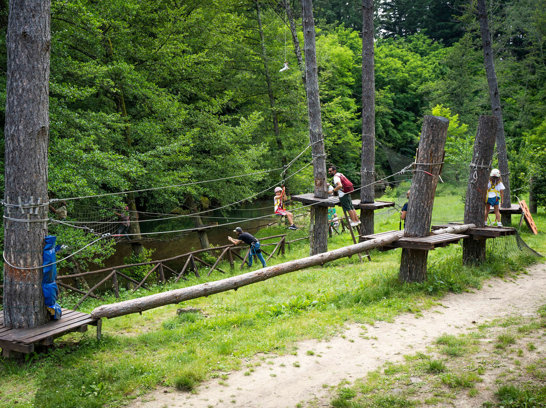 Associazione Adrenalina Parco Avventura Casentino景点图片