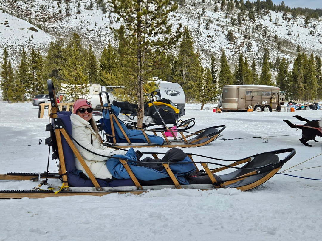 Yellowstone Dog Sled Adventures-西黄石镇必去景点