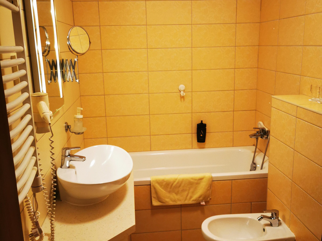 Patak Park Hotel Visegrad主图