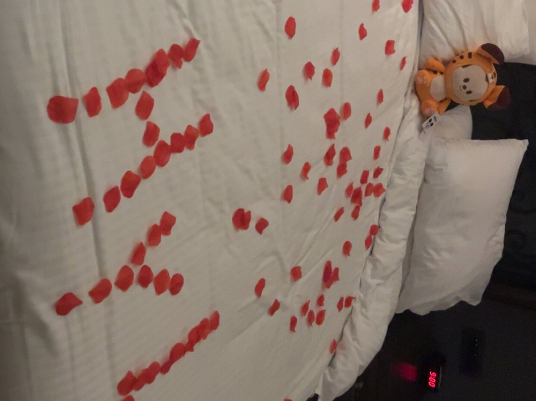 索卡洛中心酒店主图