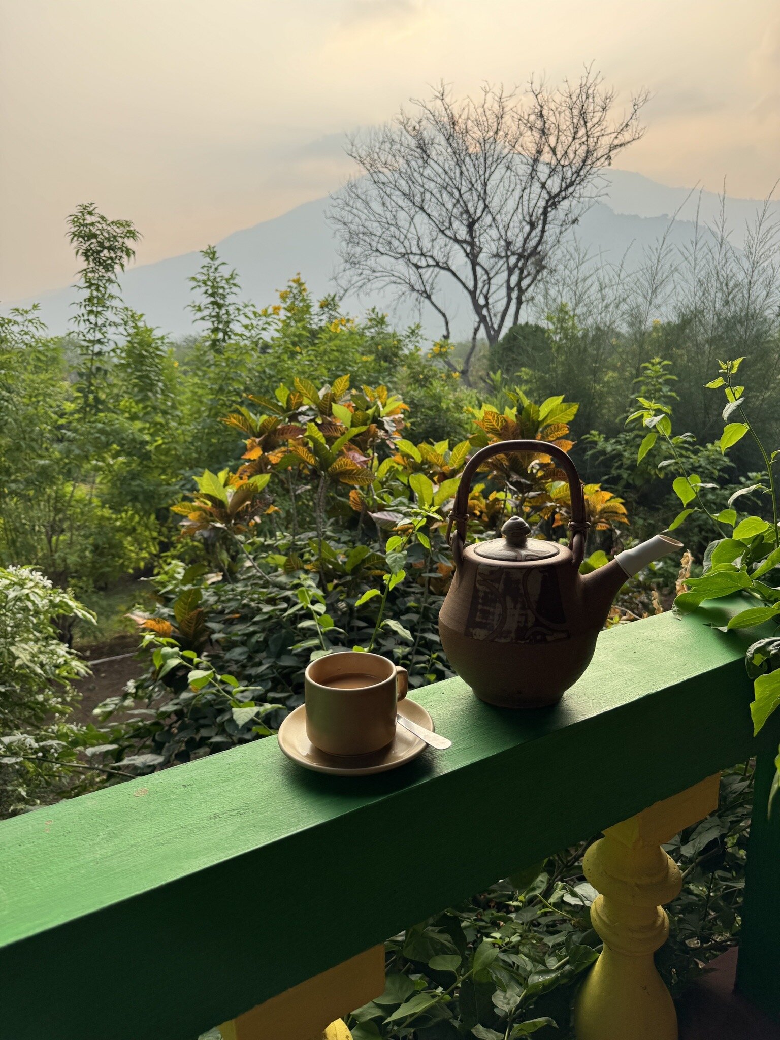 Cardamom House-官方