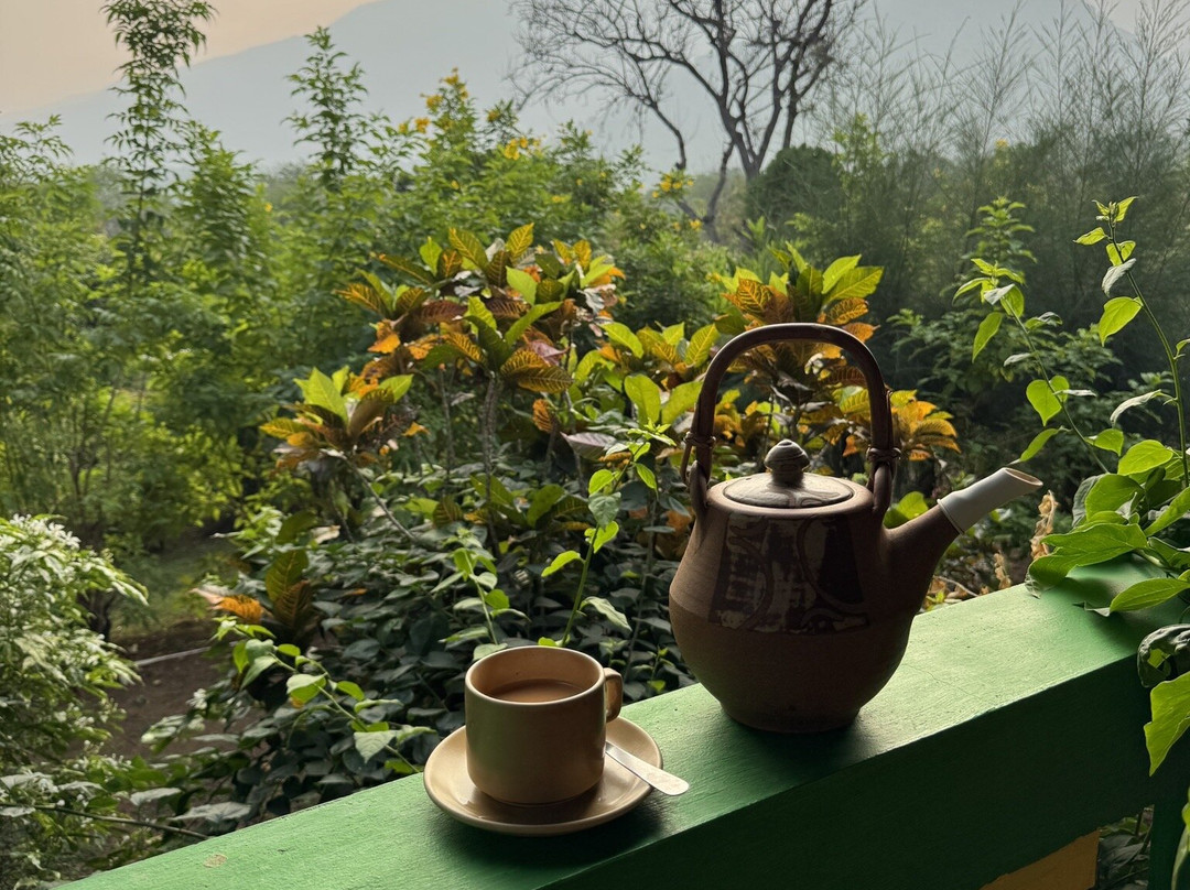 Cardamom House主图