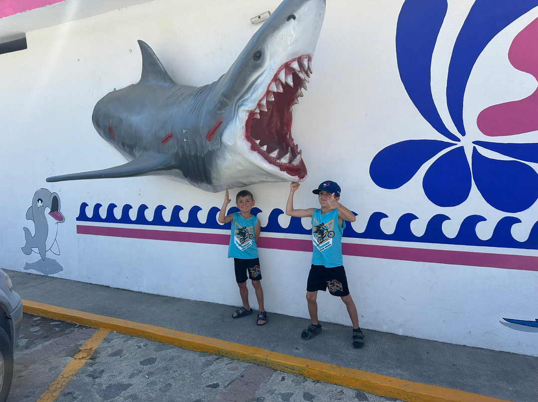 Splash Parque Acuático Vallarta-新瓦雅塔必去景点