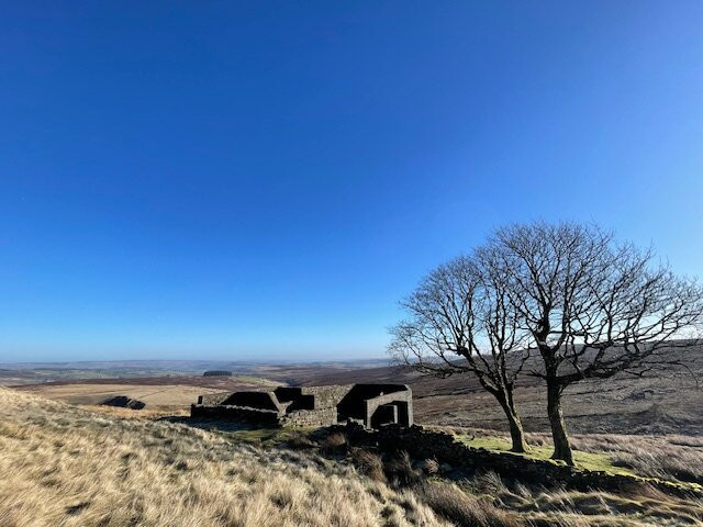 Bronte Walks景点图片