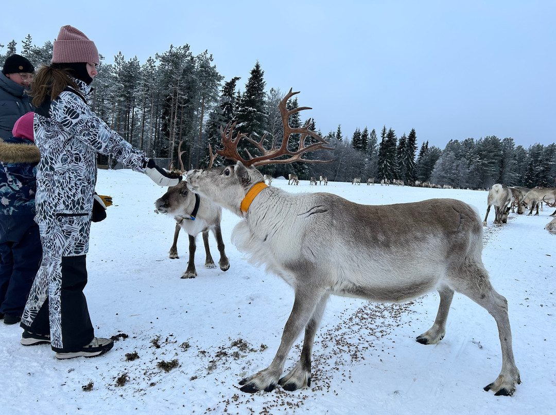 Kujala Reindeer Farm-库萨莫必去景点