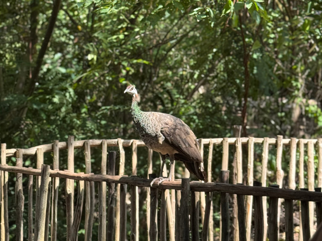 Hansver tours-桑给巴尔市必去景点