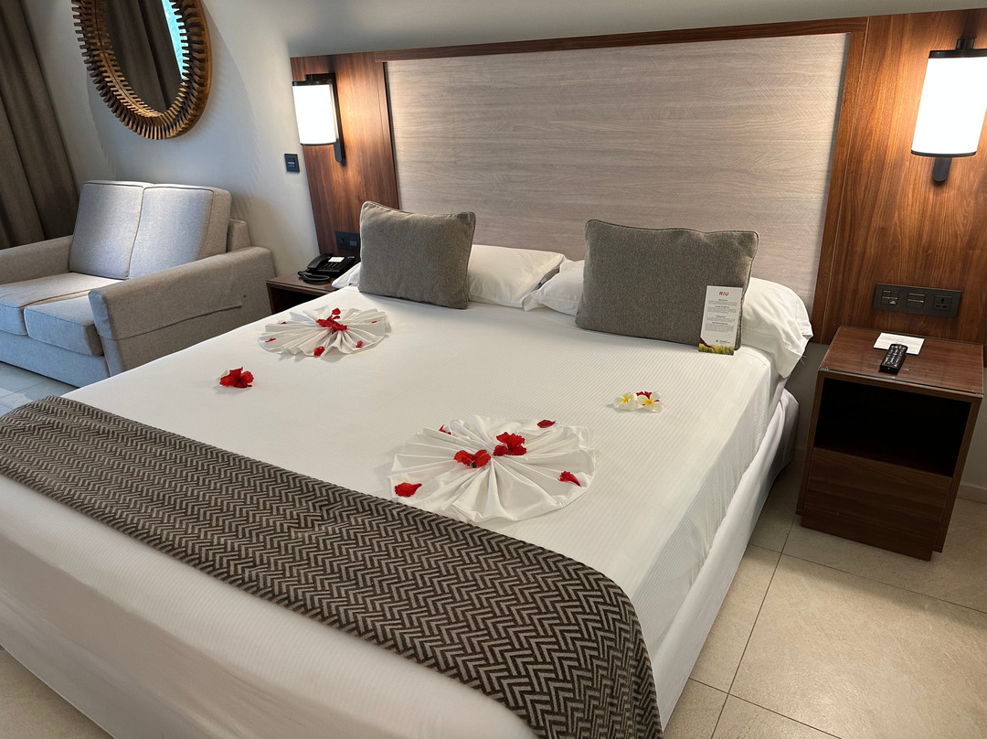 Hotel Riu Jambo主图