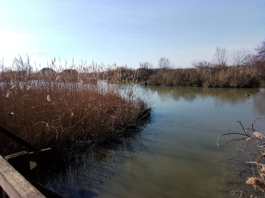 Riserva Valle Canal Novo景点图片
