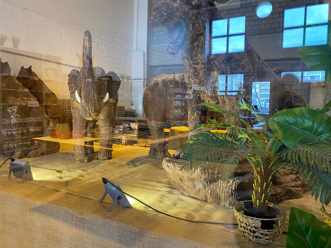 P&J Chocolate Factory Bruges-泽布鲁日必去景点