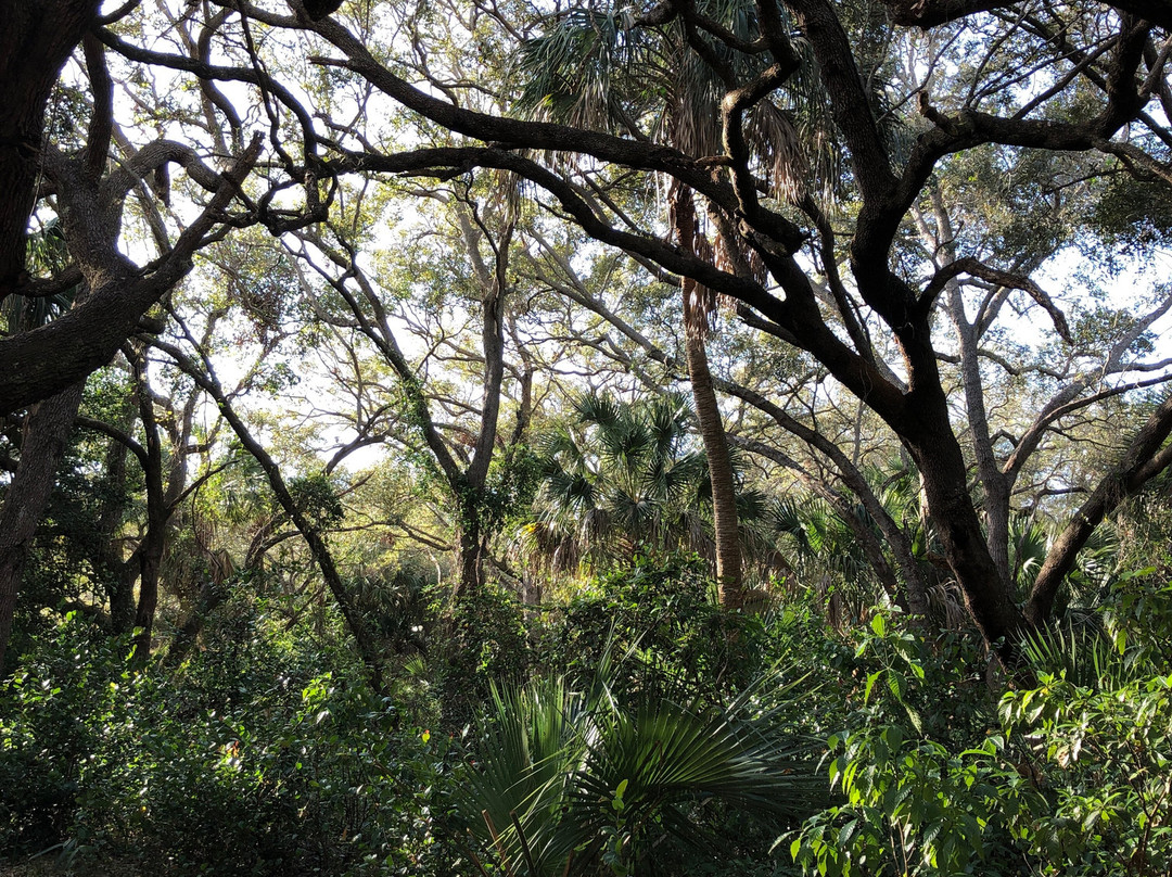 Frenchman's Forest Natural Area-棕榈滩花园必去景点