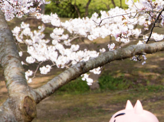 Nijigen no Mori-淡路市必去景点