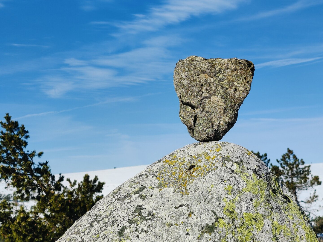 Chalet du Mont Lozere主图