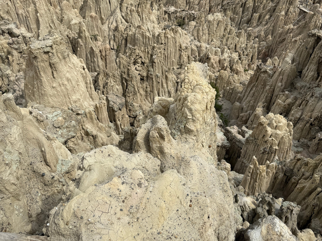 Valle De La Luna景点图片