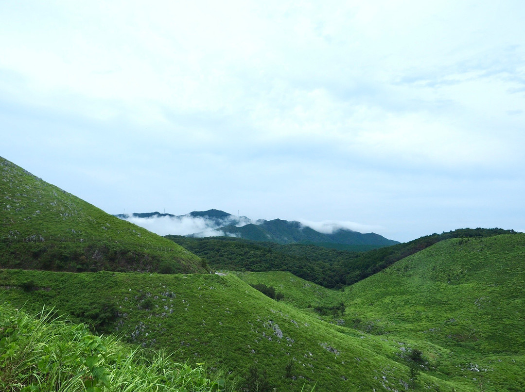 Mine Akiyoshidai Geopark-美祢市必去景点