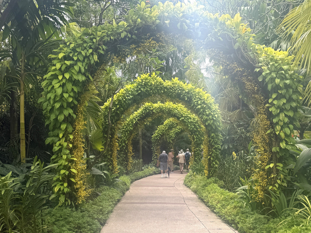 Hello Singapore-新加坡必去景点