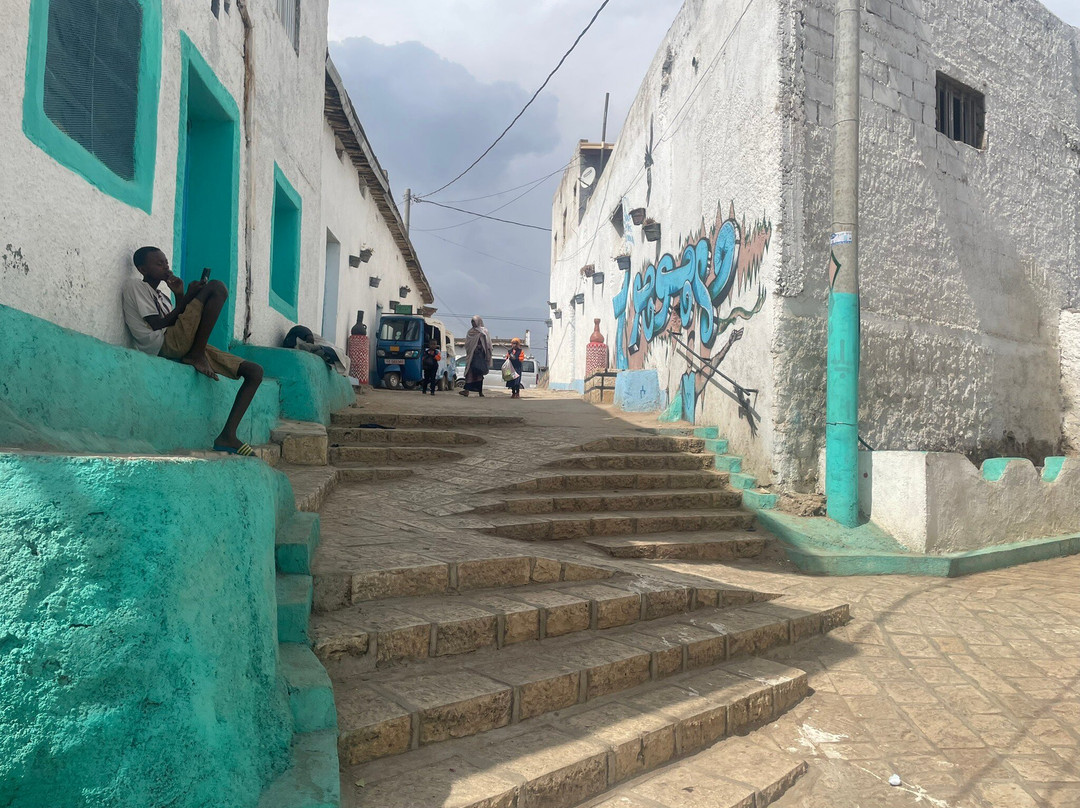 Edom Harar Tours & Car Rentals景点图片