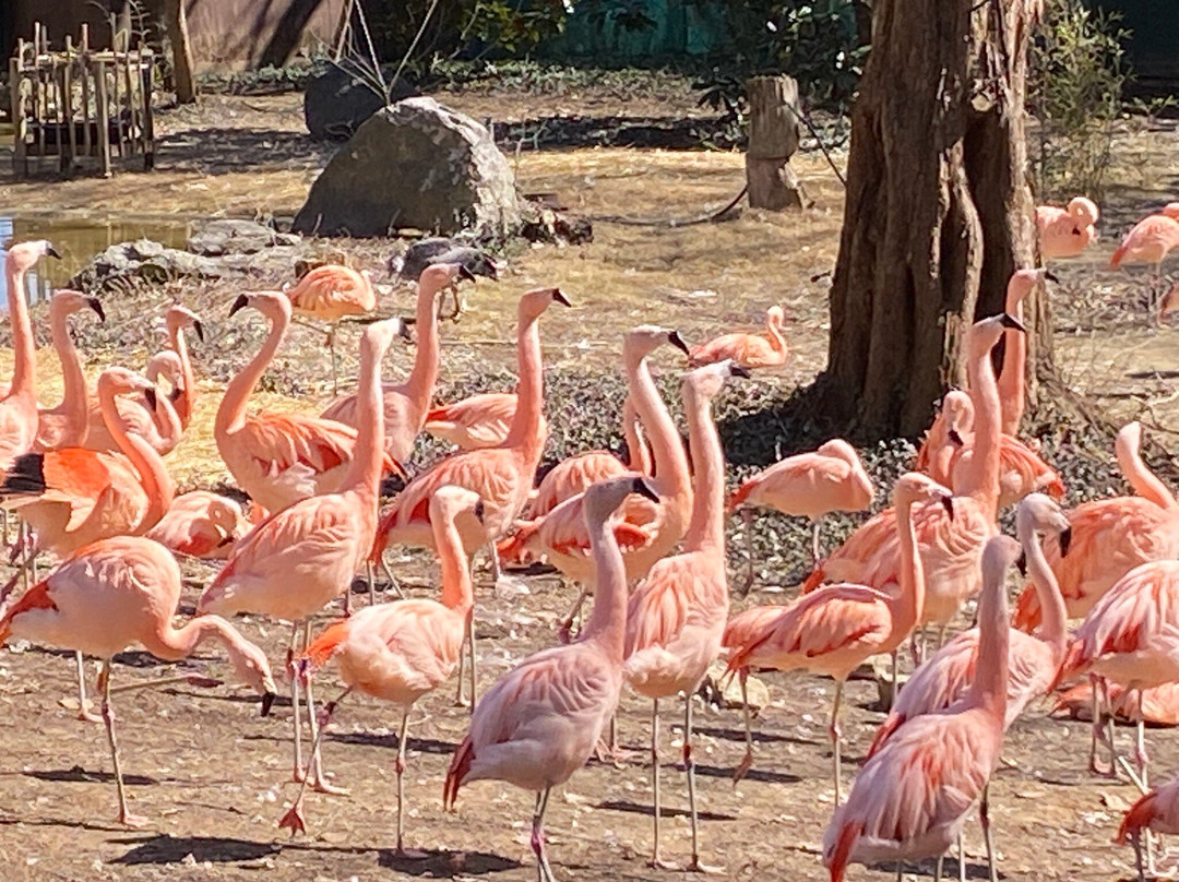 Louisville Zoo-路易斯维尔必去景点
