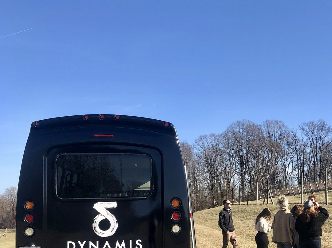 Dynamis Estate Wines景点图片