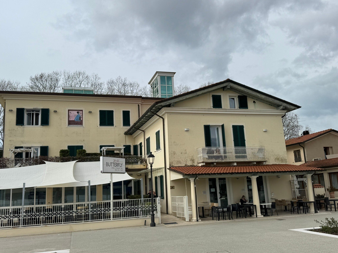 Hotel Butterfly主图