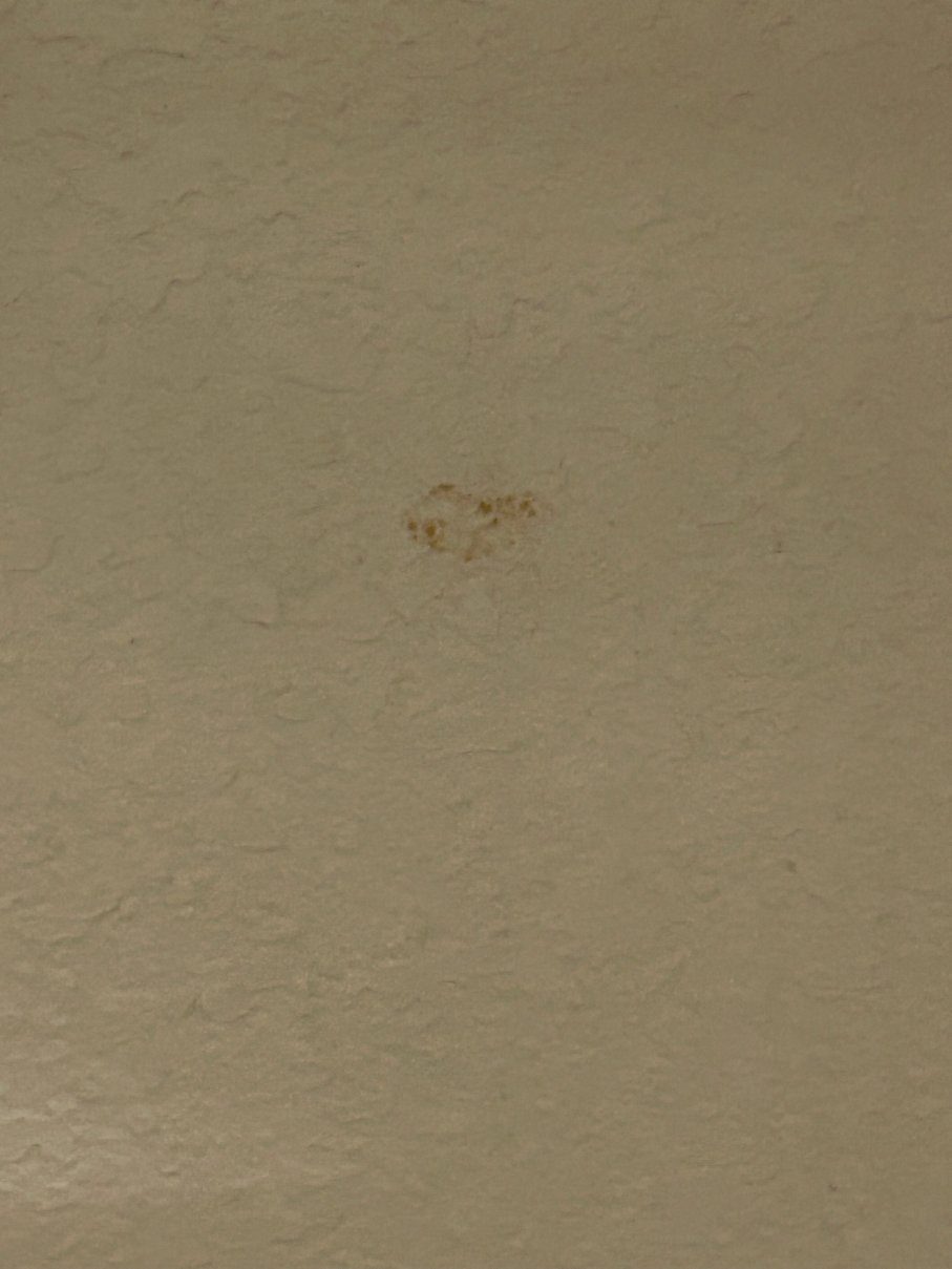 阿尔伯克基市中心舒适套房酒店-官方