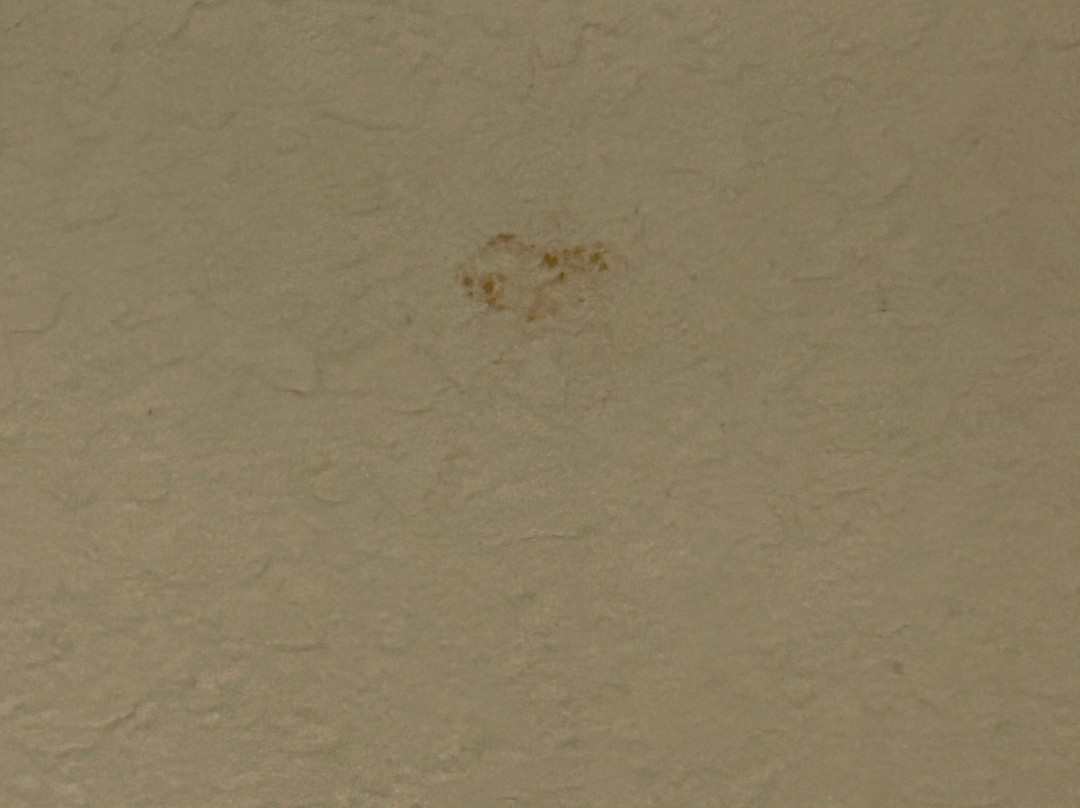 Comfort Inn & Suites Albuquerque Downtown主图