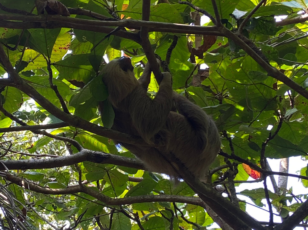 Natuwa Wildlife Santuary景点图片
