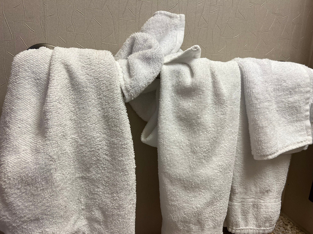 SpringHill Suites Wheeling Triadelphia Area主图