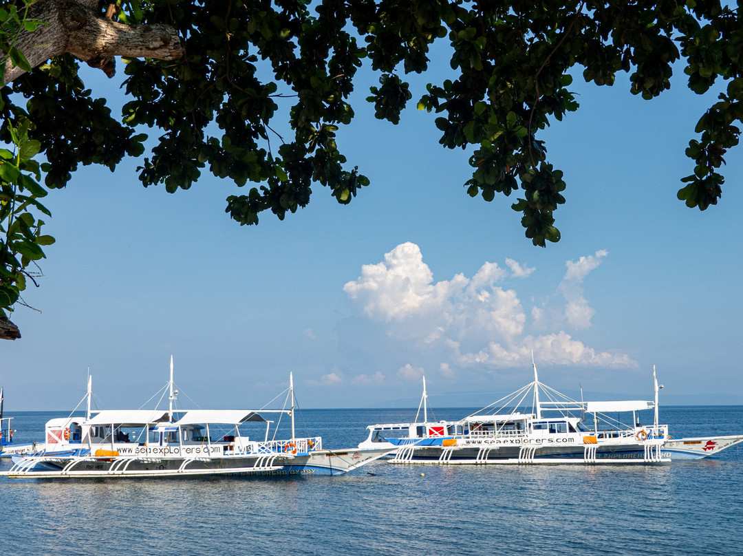 菲国海洋探索潜水中心-岛印必去景点