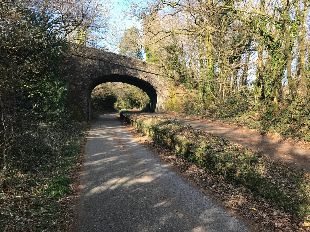 Plym Valley Cycle Trail-普利茅斯必去景点