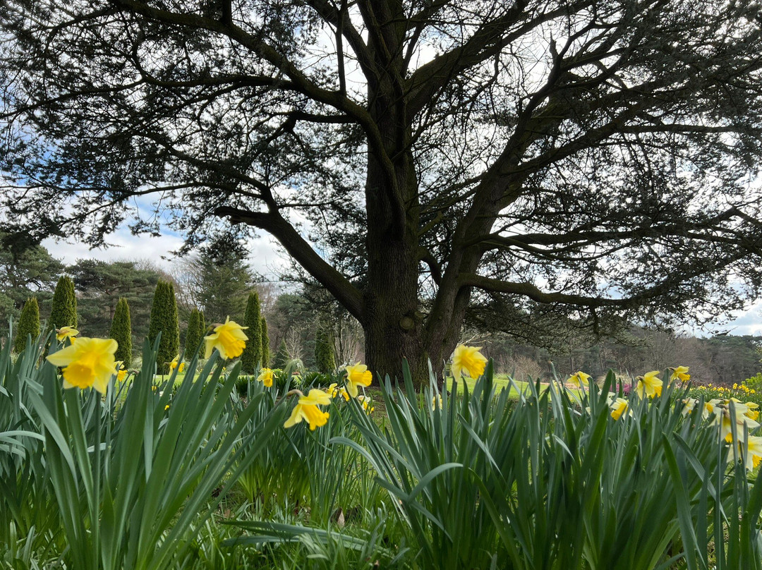 Abbeywood Gardens-Delamere必去景点