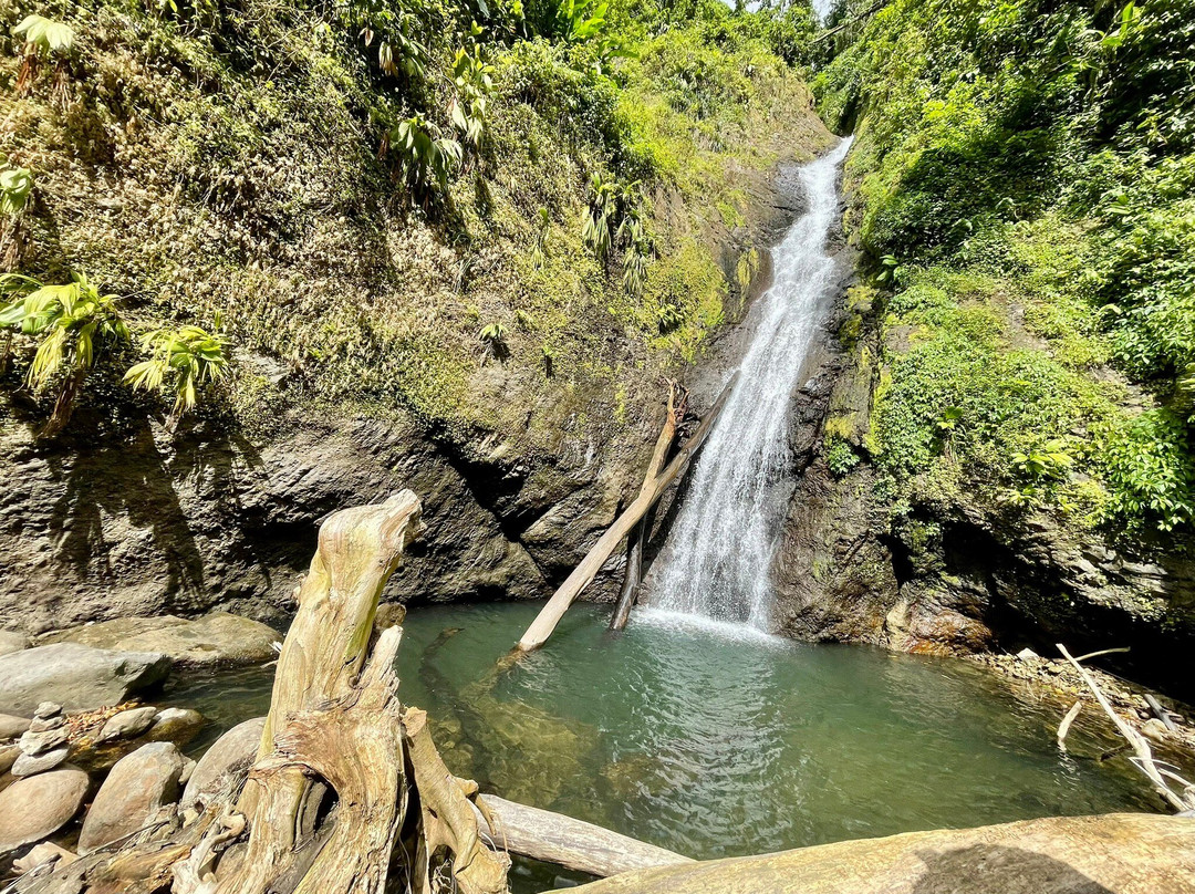 Mount Qua Qua Grenada-Grand Etang National Park必去景点