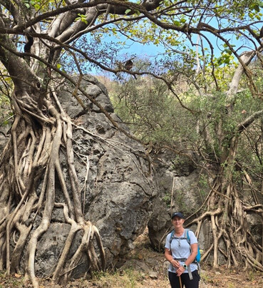 Ghudu Project-塞拉莱必去景点