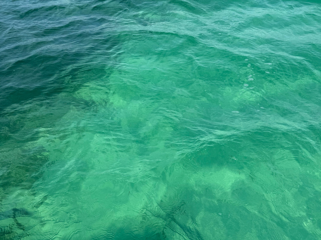 Backcountry Boat Rentals-Sugarloaf Key必去景点