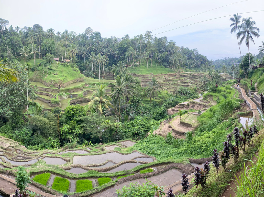 BaliKU Tour & Travel-登巴萨必去景点