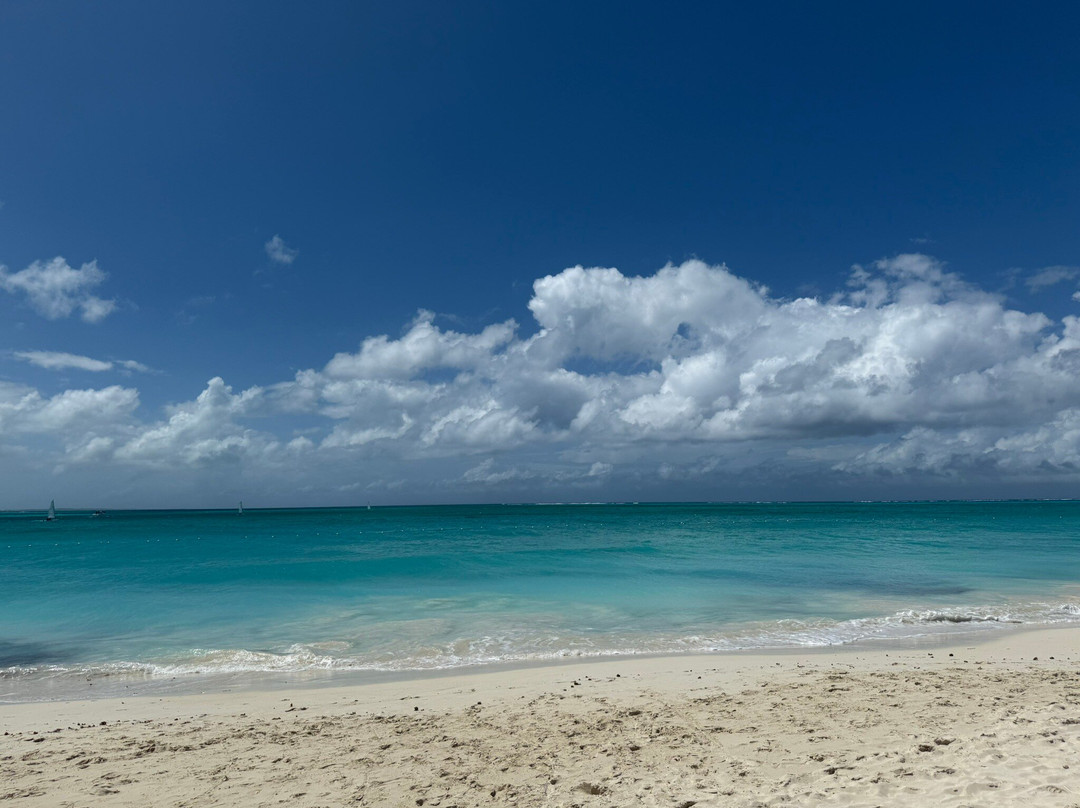 Spa Tropique-普罗维登西亚莱斯必去景点