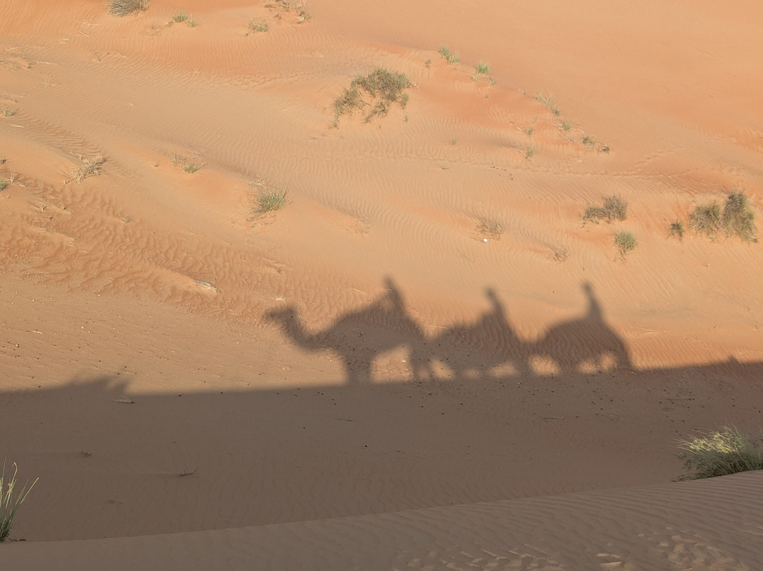 Rashid Desert Private Camp
