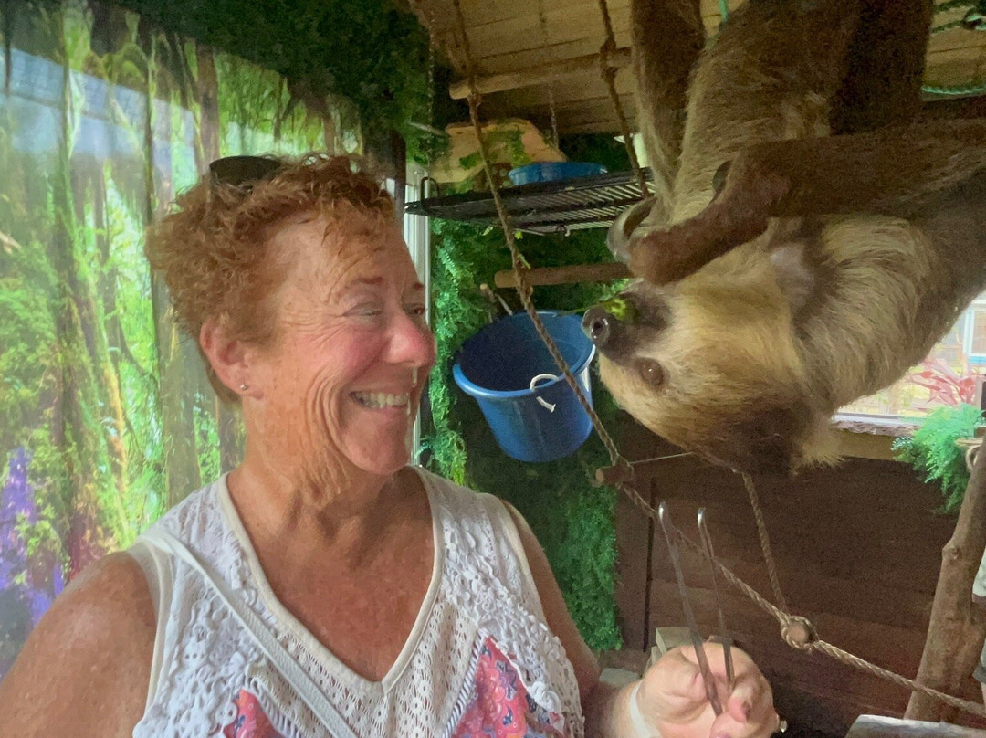 Chase Animal Rescue And Sanctuary-Webster必去景点