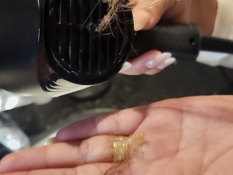 里约热内卢格雷别墅主图