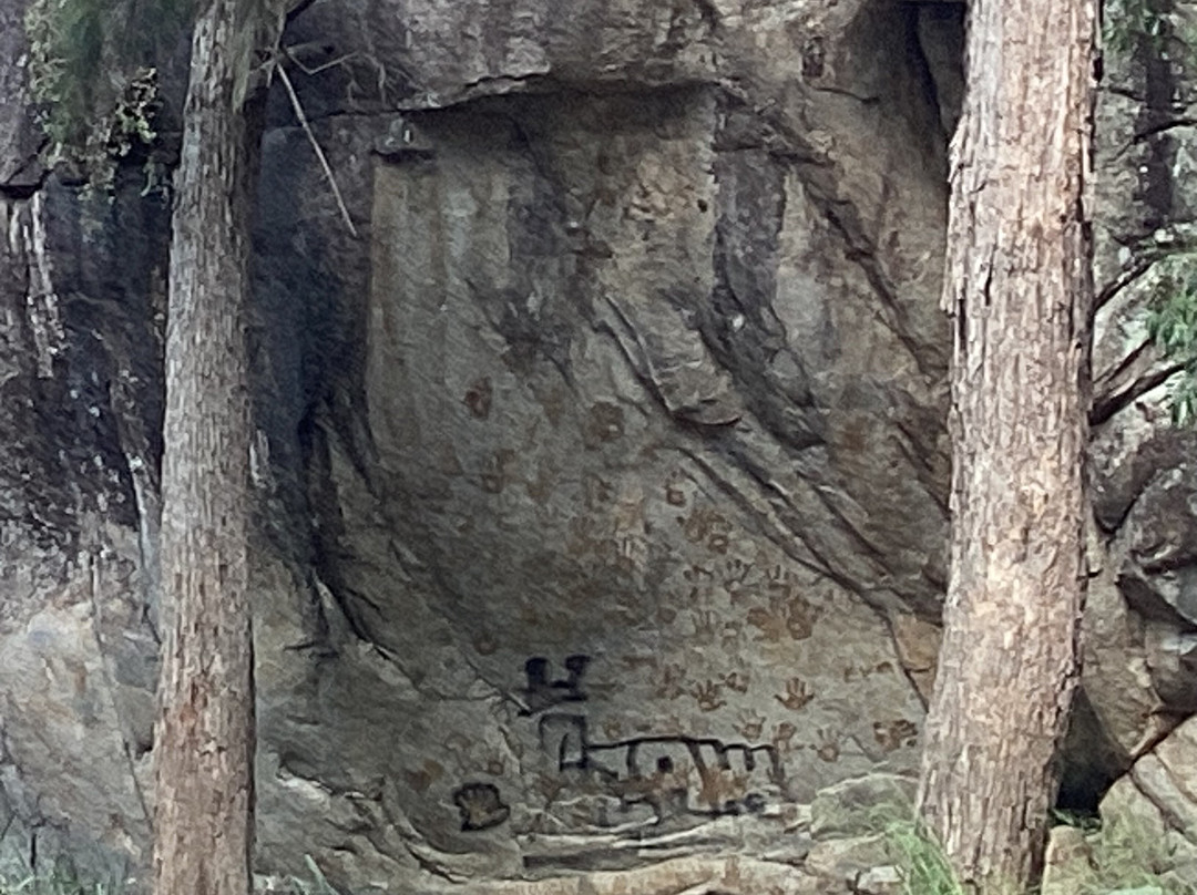Coomba Falls-Maidenwell必去景点
