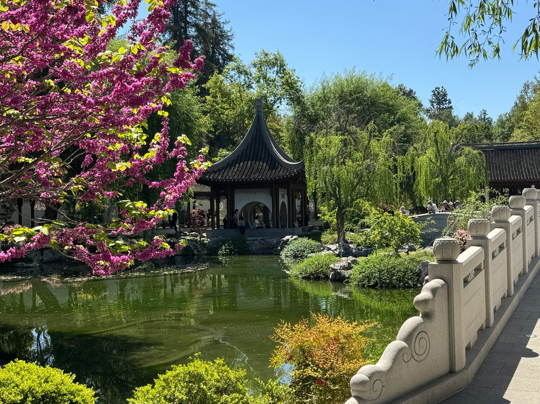 Huntington Japanese Garden