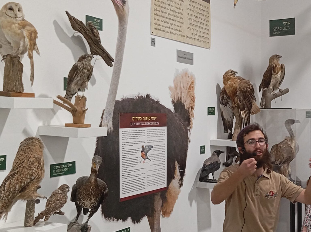 The Biblical Museum of Natural History-Beit Shemesh必去景点