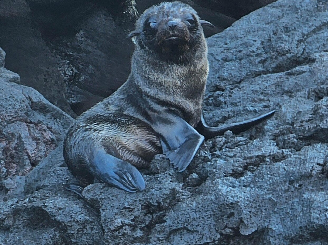 Monserrat Galapagos Cruises-阿约拉港必去景点