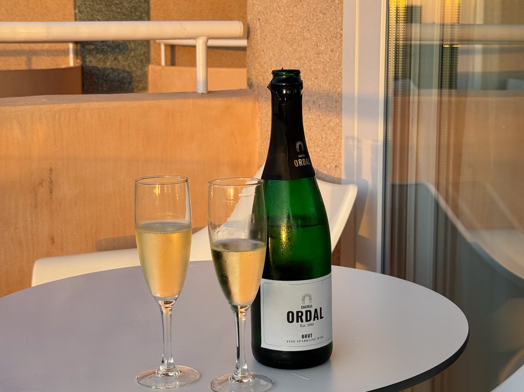 Welikehotel Fénix主图