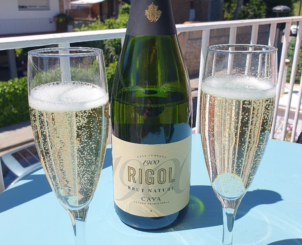 Antonio's House主图