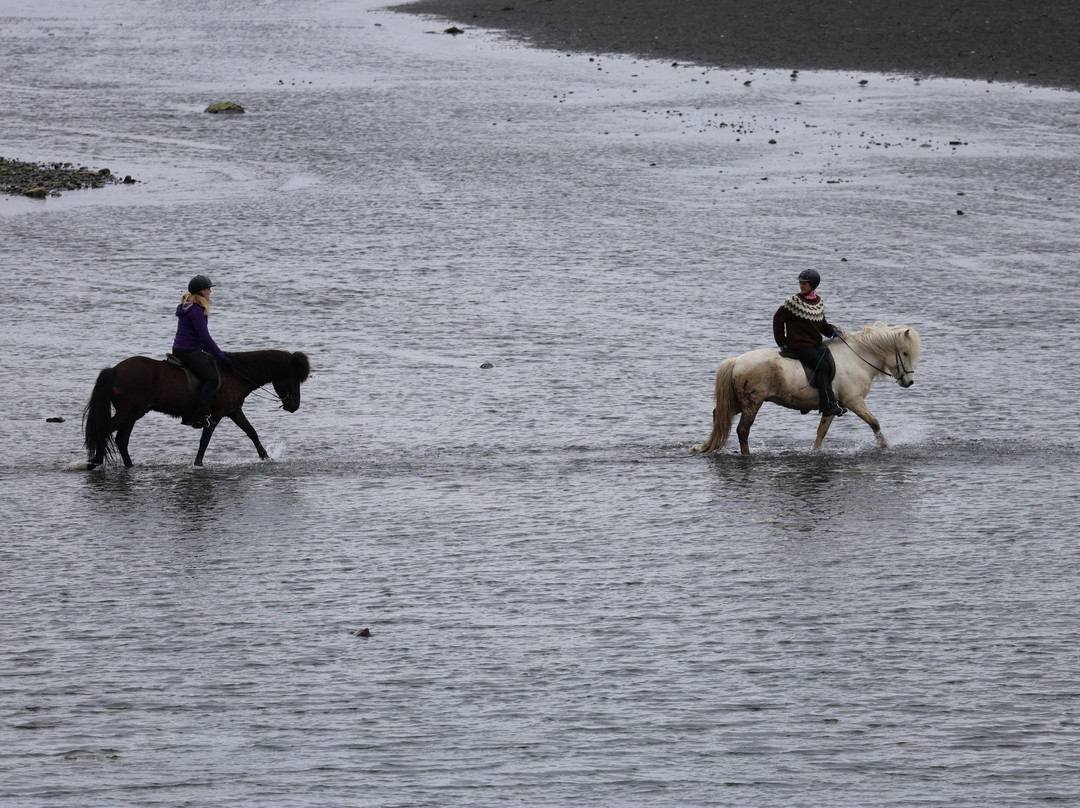 Dalahestar-布扎达吕尔必去景点