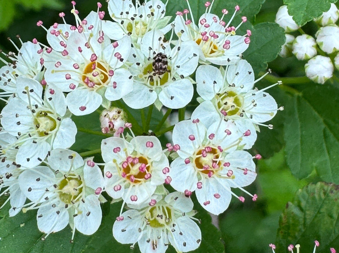 Salato Wildlife Education Center-法兰克福必去景点